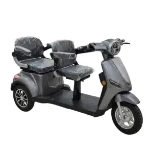 3wheeler 2seater (3w2s)